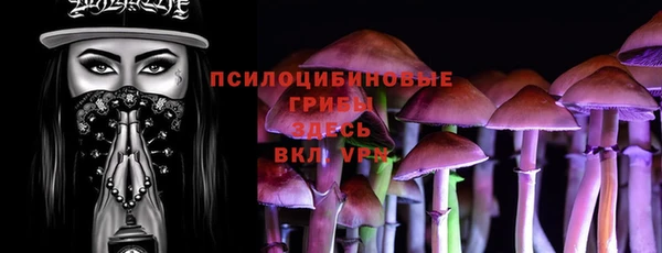 винт Богородицк