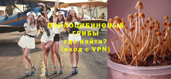 кокаин Богданович