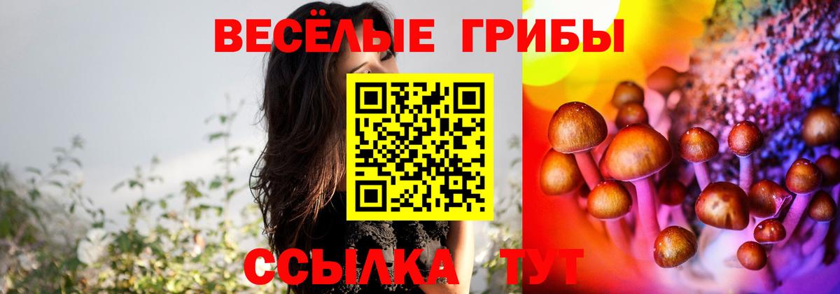 Галлюциногенные грибы мицелий Верхний Уфалей