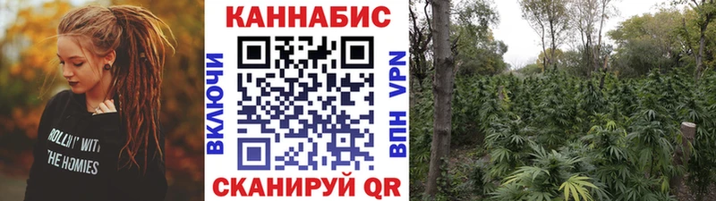 blacksprut зеркало  магазин    Верхний Уфалей  Конопля OG Kush 
